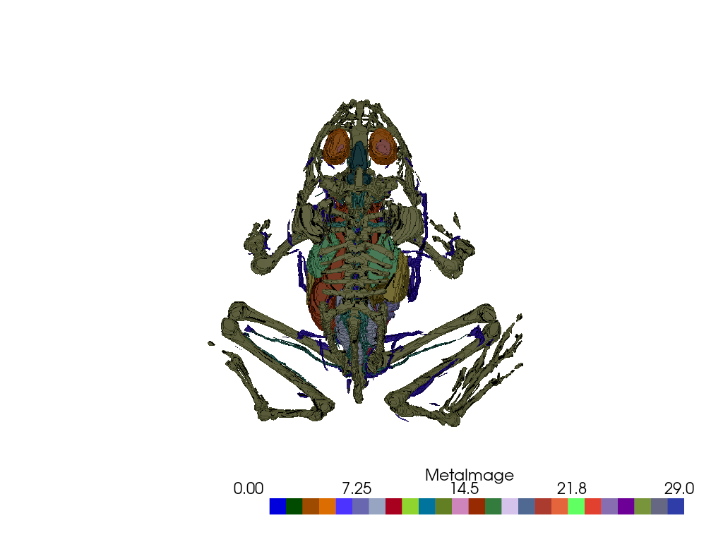 ../../_images/pyvista-examples-examples-load_frog_tissues-1_00_00.png